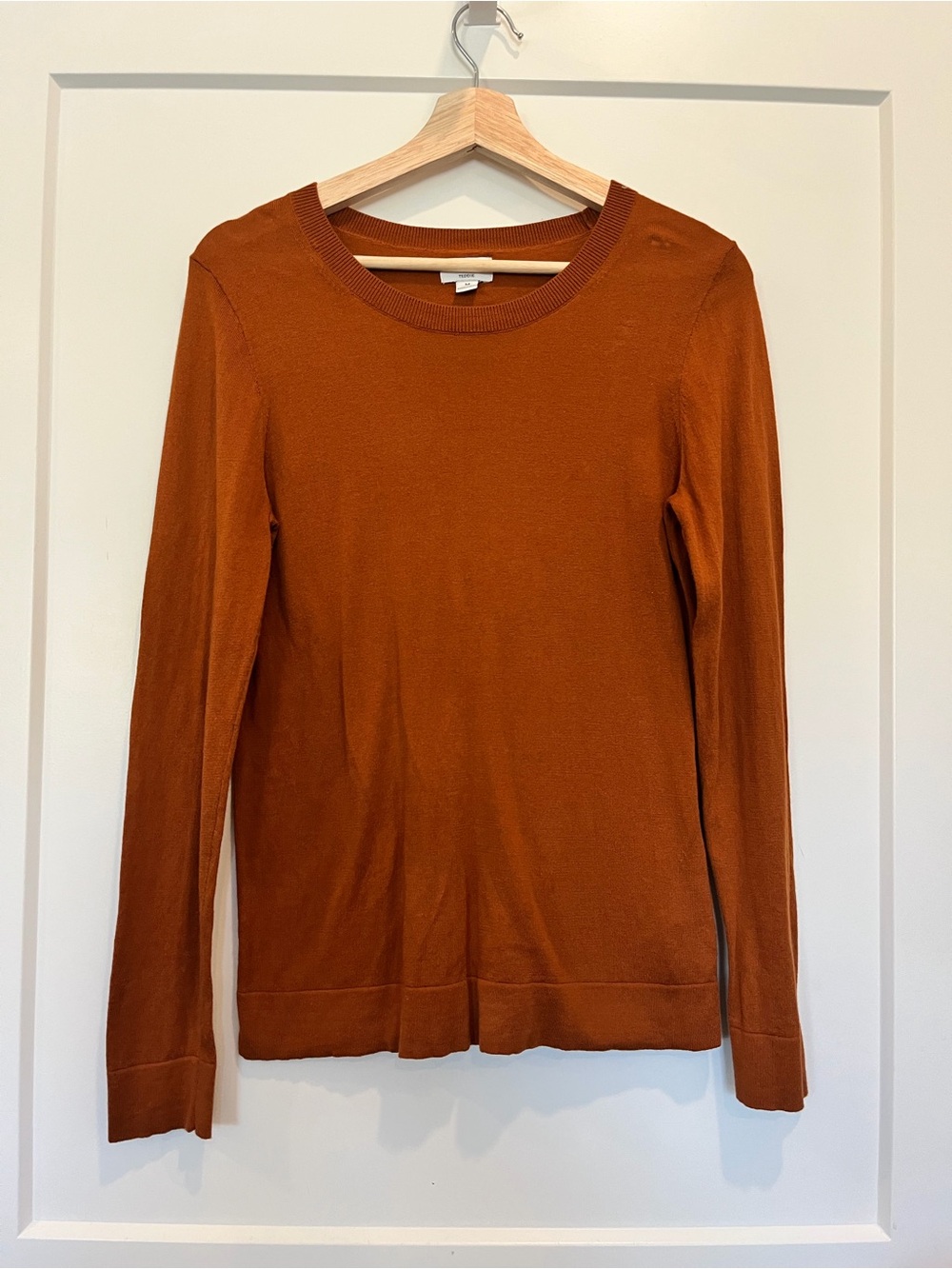 J. Crew Rust Color Cotton Teddie Crewneck Sweater Minimalist Preppy Staple Sz M